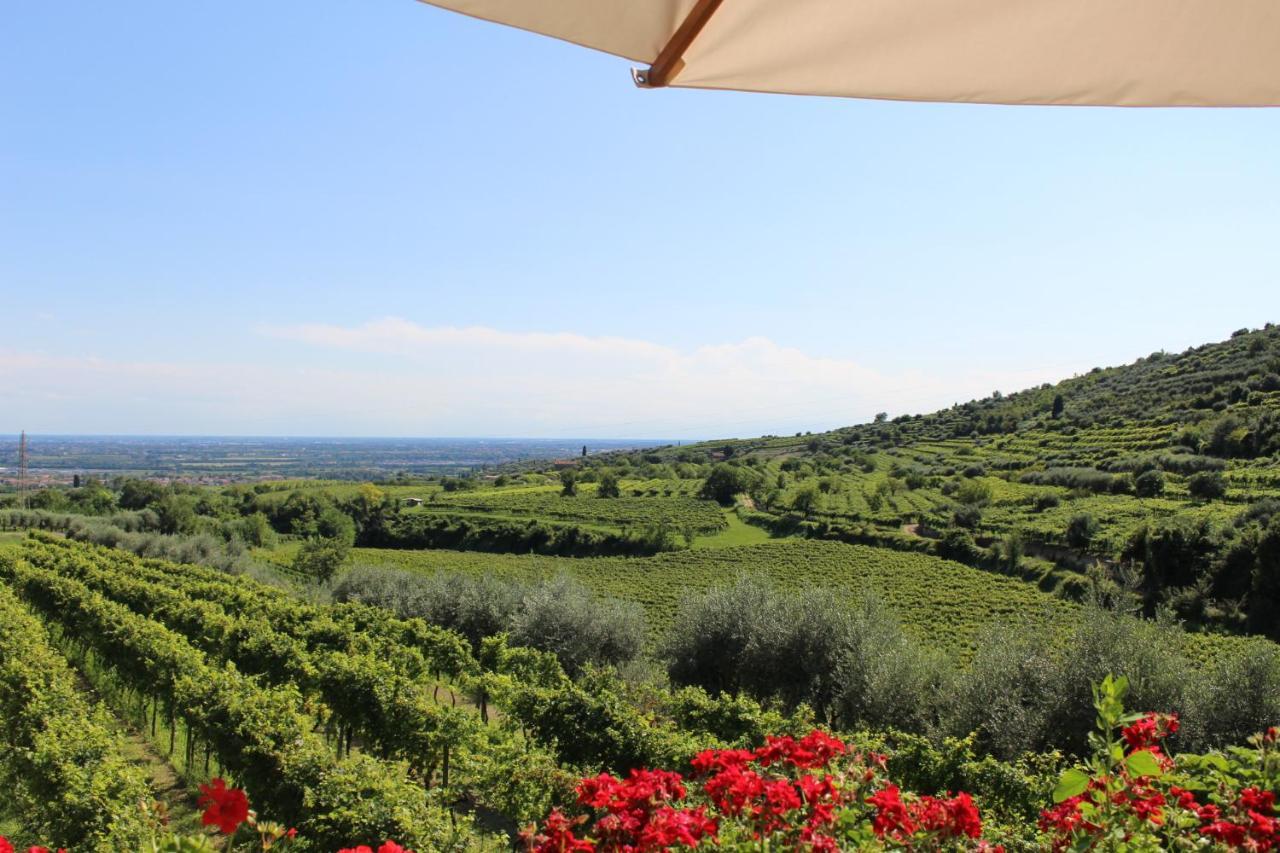 Corte Spinosa Farm stay *